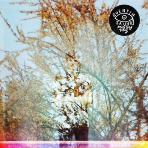 Quentin Sauvé - Enjoy The View (Digipack) in the group CD / Pop-Rock at Bengans Skivbutik AB (4223743)