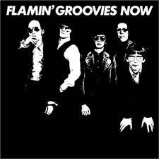 Flamin' Groovies - Now (White Vinyl) in the group VINYL / Pop-Rock at Bengans Skivbutik AB (4223780)