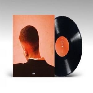 Joesef - Permanent Damage in the group VINYL / Pop-Rock at Bengans Skivbutik AB (4224244)