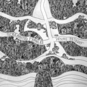 Screaming Females - Desire Pathway in the group VINYL / Hårdrock,Pop-Rock at Bengans Skivbutik AB (4225183)