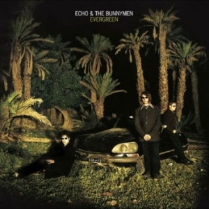 Echo And The Bunnymen - Evergreen in the group CD / Pop-Rock at Bengans Skivbutik AB (4225614)