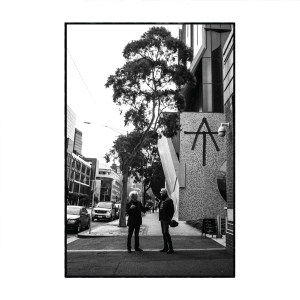 Tim Finn - At in the group VINYL / Pop-Rock at Bengans Skivbutik AB (4227854)