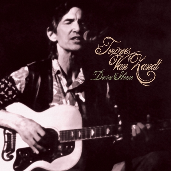Townes Van Zandt - Down Home in the group VINYL / Rock at Bengans Skivbutik AB (4227855)