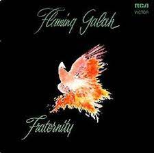 FRATERNITY - Flaming Galah (2Lp/Green Vinyl) (Rsd) in the group OUR PICKS / Record Store Day / RSD2023 at Bengans Skivbutik AB (4227901)