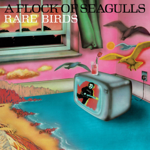 A Flock Of Seagulls - Rare Birds - 'A Flock Of Seagu in the group OUR PICKS / Record Store Day / RSD-Sale / RSD50% at Bengans Skivbutik AB (4229595)