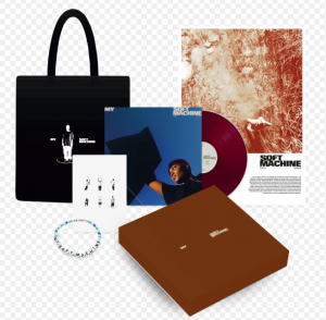 Arlo Parks - My Soft Machine (LP Boxset Transparent Violet Vinyl) in the group VINYL / Pop-Rock at Bengans Skivbutik AB (4230191)