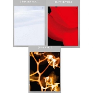 (G)I-DLE - 4th Mini [I burn] (Random version) in the group Minishops / K-Pop Minishops / I-Dle at Bengans Skivbutik AB (4231725)