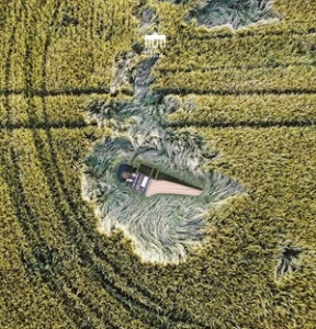 Bach Johann Sebastian - Partita & Concertos in the group Externt_Lager /  at Bengans Skivbutik AB (4232345)