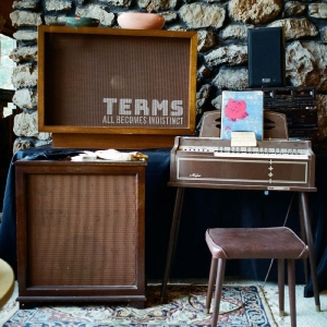 Terms - All Becomes Indistinct (Random Col in the group VINYL / Jazz,Pop-Rock at Bengans Skivbutik AB (4232389)