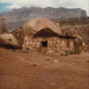 Foster Josephine - Domestic Sphere in the group VINYL / Pop-Rock at Bengans Skivbutik AB (4233190)