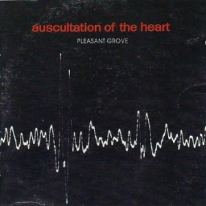 Pleasant Grove - Auscultation Of The Heart in the group VINYL / Pop at Bengans Skivbutik AB (4233330)