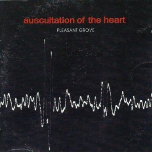 Pleasant Grove - Auscultation Of The Heart in the group VINYL / Pop-Rock at Bengans Skivbutik AB (4233330)