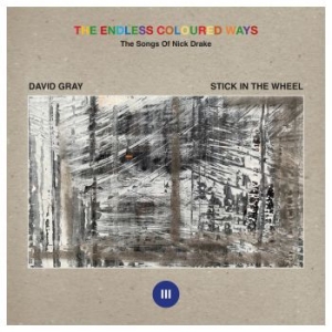 David Gray / Stick In The Wheel - The Endless Coloured Ways: The Song in the group VINYL / Rock at Bengans Skivbutik AB (4233615)