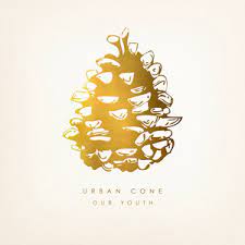 Urban Cone - Our Youth in the group VINYL / Pop-Rock at Bengans Skivbutik AB (4233896)