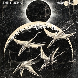 The Ducks - High Flyin' in the group VINYL / Pop-Rock at Bengans Skivbutik AB (4236115)