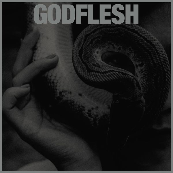 Godflesh - Purge (Vinyl Lp) in the group VINYL / Pop at Bengans Skivbutik AB (4236134)