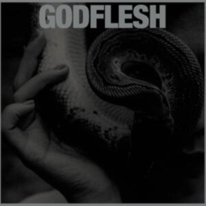 Godflesh - Purge in the group CD / Pop-Rock at Bengans Skivbutik AB (4236147)