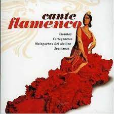 Cante Flamenco - Tarantas-Cartageneras Mfl in the group OUR PICKS / CDSALE2303 at Bengans Skivbutik AB (4238037)