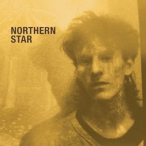 Fielding David - Northern Star in the group CD / Pop-Rock at Bengans Skivbutik AB (4238176)