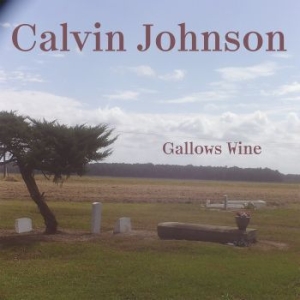 Johnson Calvin - Gallows Wine in the group VINYL / Rock at Bengans Skivbutik AB (4240325)