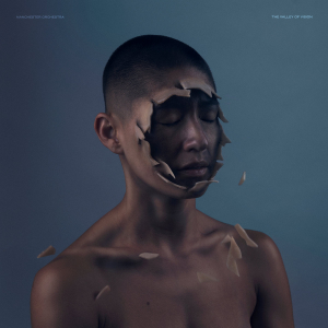 Manchester Orchestra - The Valley Of Vision in the group VINYL / Pop-Rock at Bengans Skivbutik AB (4242231)