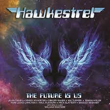 Hawkestrel - The Future Is Us in the group VINYL / Pop-Rock at Bengans Skivbutik AB (4242297)