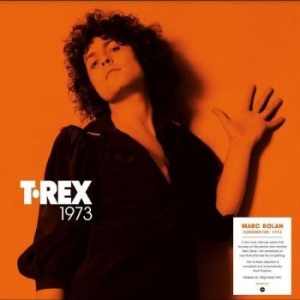 T. Rex - Songwriter: 1973 in the group VINYL / Pop-Rock at Bengans Skivbutik AB (4242586)
