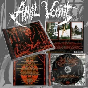 Anal Vomit - Demoniac Flagellations in the group CD / Hårdrock at Bengans Skivbutik AB (4242637)
