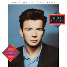 Rick Astley - Hold Me In Your Arms in the group VINYL / Pop-Rock at Bengans Skivbutik AB (4242639)