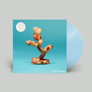 Pozi - Smiling Pools in the group VINYL / Hårdrock,Pop-Rock at Bengans Skivbutik AB (4244272)
