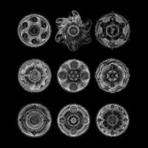 Zorn John & Bill Laswell - Memoria in the group CD / Jazz at Bengans Skivbutik AB (4244366)