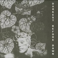 Dark Day - Darkest Before Dawn in the group CD / Hårdrock,Pop-Rock at Bengans Skivbutik AB (4244379)