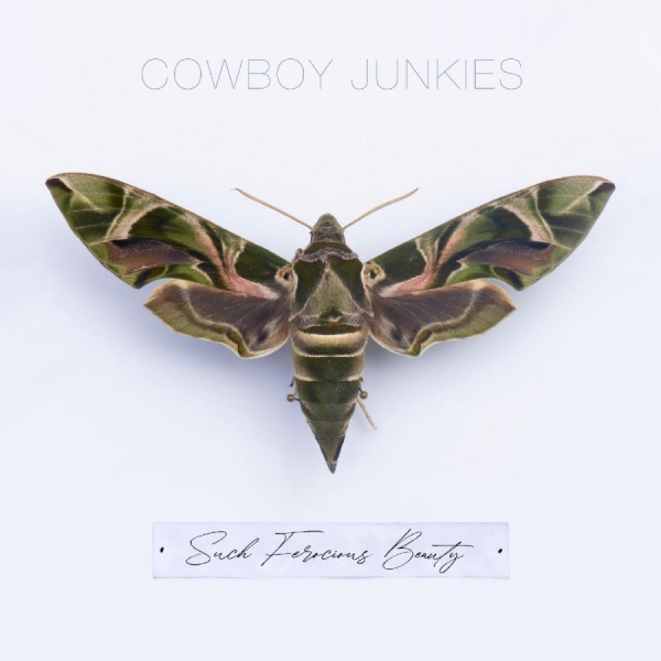 Cowboy Junkies - Such Ferocious Beauty (Tan Transluc in the group VINYL / Pop-Rock at Bengans Skivbutik AB (4245485)