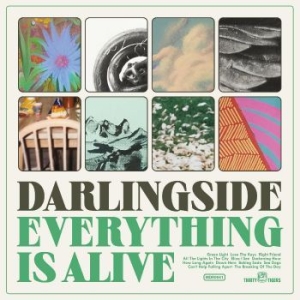 Darlingside - Everything Is Alive in the group CD / World Music at Bengans Skivbutik AB (4249682)