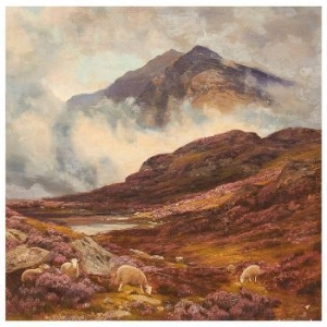 Råå - Ljungens Lag in the group Minishops / Råå at Bengans Skivbutik AB (4254386)