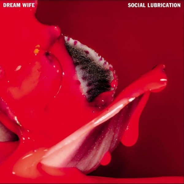 Dream Wife - Social Lubrication in the group CD / Bestsellers at Bengans Skivbutik AB (4255264)