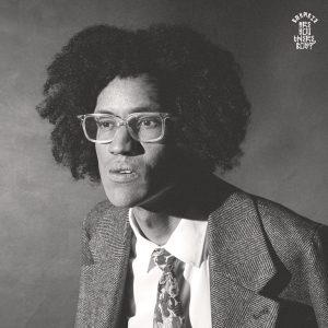 Beharie - Are You There, Boy ? in the group VINYL / Pop-Rock at Bengans Skivbutik AB (4255593)