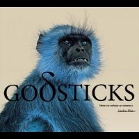 Godsticks - This Is What A Winner Looks Like in the group VINYL / Pop-Rock at Bengans Skivbutik AB (4256013)