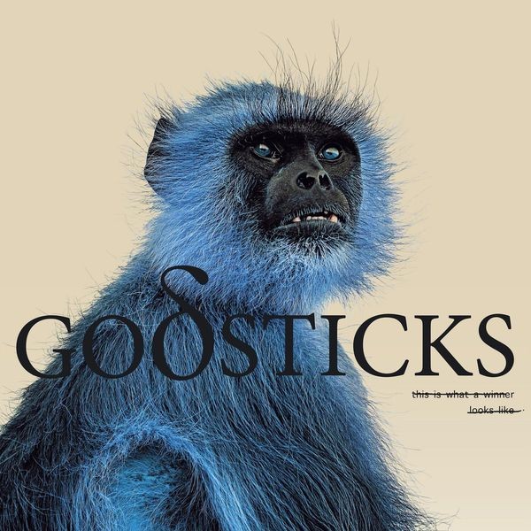 Godsticks - This Is What A Winner Looks Like in the group VINYL / Pop at Bengans Skivbutik AB (4256013)