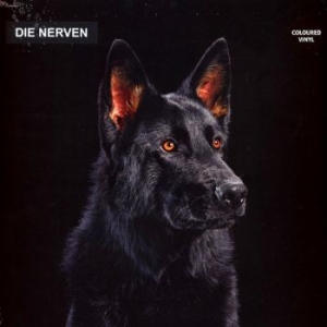 Die Nerven - Die Nerven (Transparent Orange Viny in the group VINYL / Pop at Bengans Skivbutik AB (4256017)