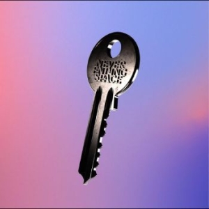 Chain Of Flowers - Never Ending Space in the group VINYL / Pop-Rock at Bengans Skivbutik AB (4256029)