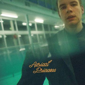 REX ORANGE COUNTY - APRICOT PRINCESS (GREEN) in the group OUR PICKS / Record Store Day / RSD2022 at Bengans Skivbutik AB (4256643)