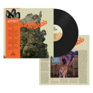 Synanthesia - Synanthesia (Vinyl Lp) in the group VINYL / Pop-Rock at Bengans Skivbutik AB (4258406)