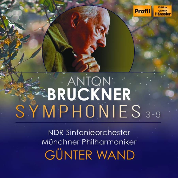 Bruckner Anton - Bruckner: Symphonies Nos. 3-9 (8Cd) in the group CD / Bestsellers at Bengans Skivbutik AB (4258463)