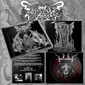 Demonized - Abyss Vanguard in the group CD / Hårdrock at Bengans Skivbutik AB (4258649)