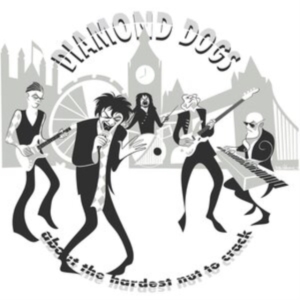 Diamond Dogs - About The Hardest Nut To Crack (Bla in the group OTHER / Diamond Dogs at Bengans Skivbutik AB (4259331)
