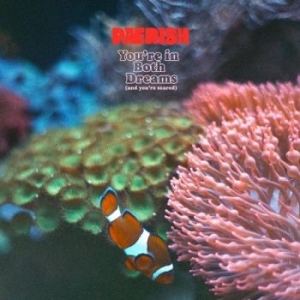 Paerish - You're In Both Dreams (And You're S in the group VINYL / Hårdrock,Pop-Rock at Bengans Skivbutik AB (4261999)