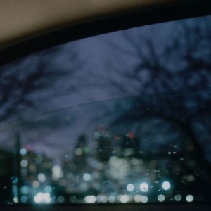 Natural Wonder Beauty Concept - Natural Wonder Beauty Concept in the group VINYL / Pop at Bengans Skivbutik AB (4264644)