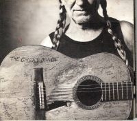 Willie Nelson - The Great Divide in the group VINYL / Country at Bengans Skivbutik AB (4265222)