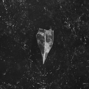 Bees Made Honey In The Vein Tree - Aion (Digipack) in the group CD / Hårdrock at Bengans Skivbutik AB (4265812)